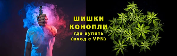 дмт Алзамай