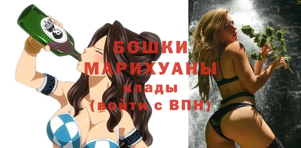 винт Алексин