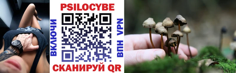 Псилоцибиновые грибы Magic Shrooms Катайск
